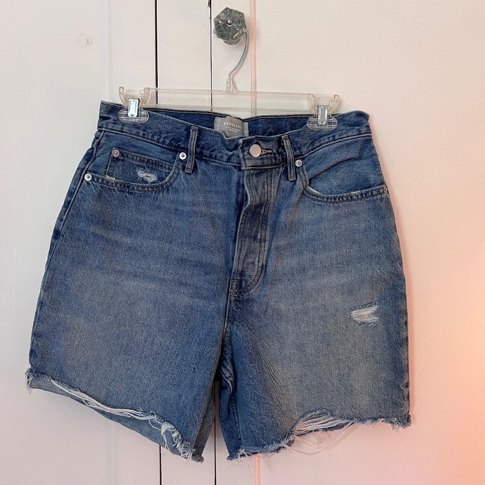 EVERLANE The Rigid Way-High Cut Off Raw Hem Denim Shorts Size 30